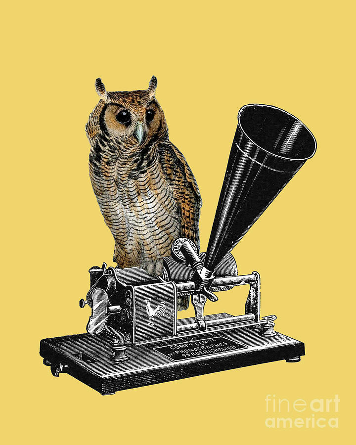 Owl Digital Art - Horned Owl On Phonograph by Madame Memento