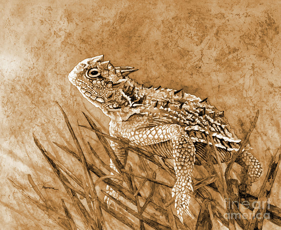 Nature Painting - Horned Toad 2 in sepia tone by Hailey E Herrera