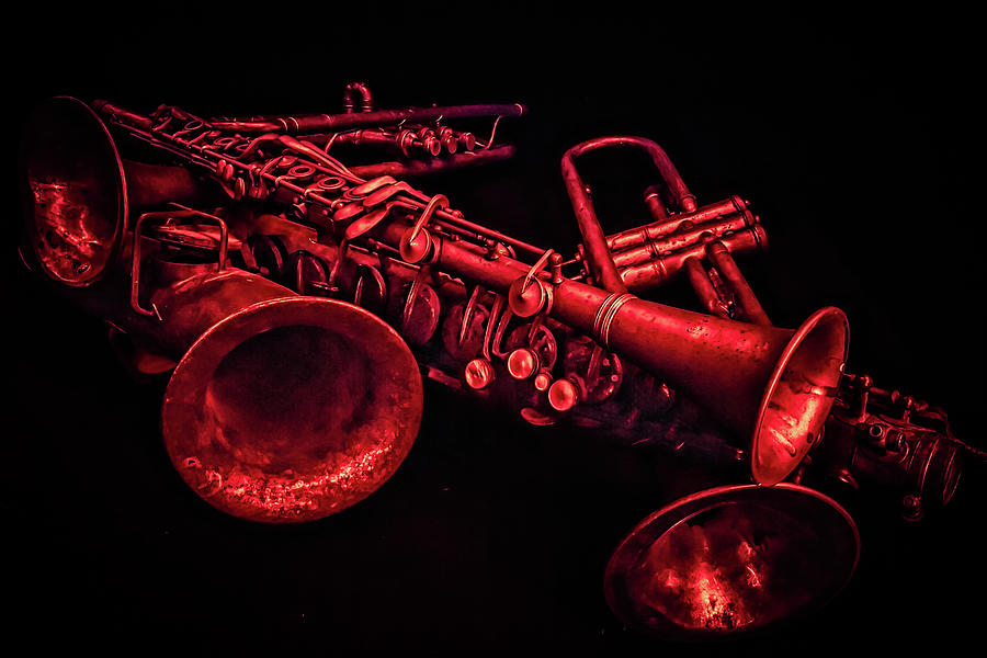 Horns in Red Photograph by Bill Chizek