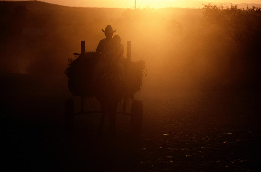 Horse & Cart In Sunlight In Mexico Photograph by Tom Owen Edmunds
