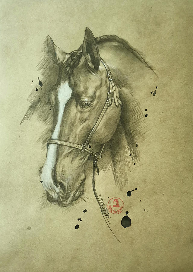 Horse #22531 Drawing by Hongtao Huang
