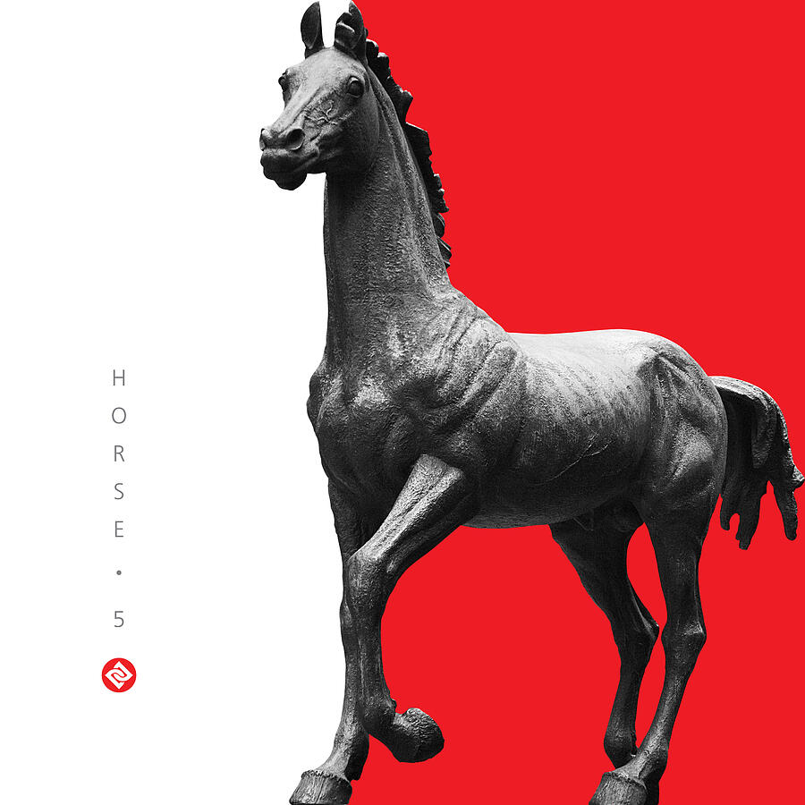 Horse 5 Digital Art by David Davies