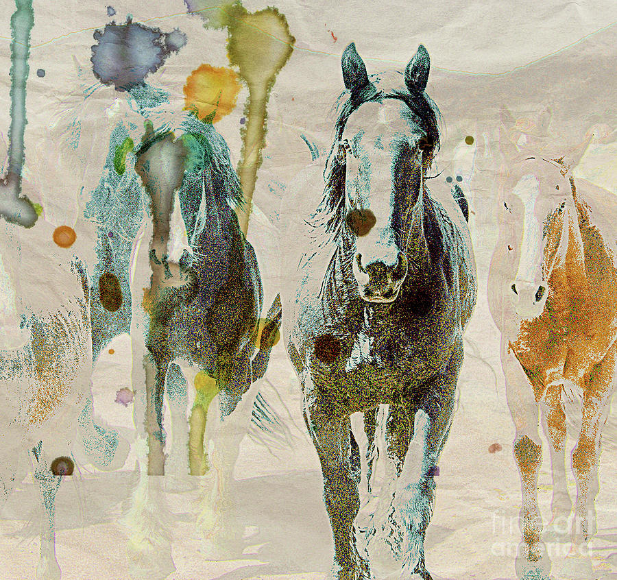 Horse Abstract Photograph by Jody Miller