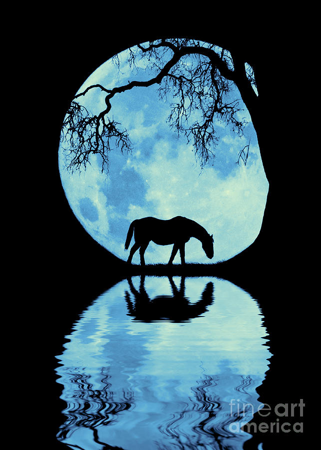 Horse and Big Blue Full Moon with Reflection Surreal Photograph by Stephanie Laird