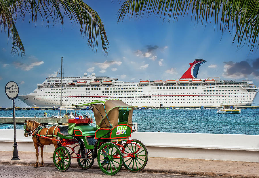 Horse and Buggy by Luxury Cruise Ship Photograph by Darryl Brooks