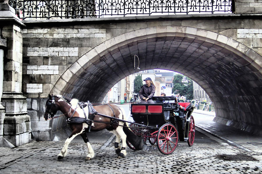 Horse and Buggy in Ghent Photograph by David Smith