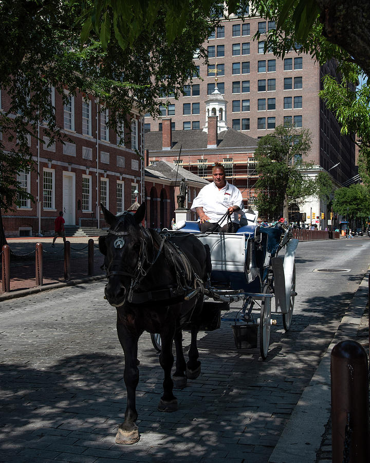 Horse and buggy in Old Towne Philadelphia Photograph by Mark Stout
