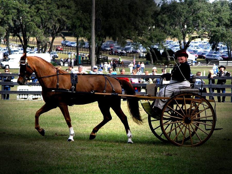Horse and Carriage Show in the Park Photograph by Philip And Robbie Bracco