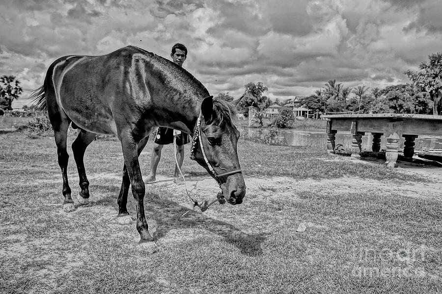 Horse And Man Photograph by Arik S Mintorogo