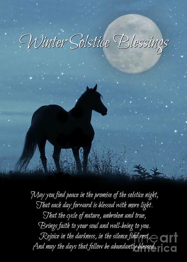 Horse and Moonlight Night Winter Solstice Blessings Photograph by Stephanie Laird
