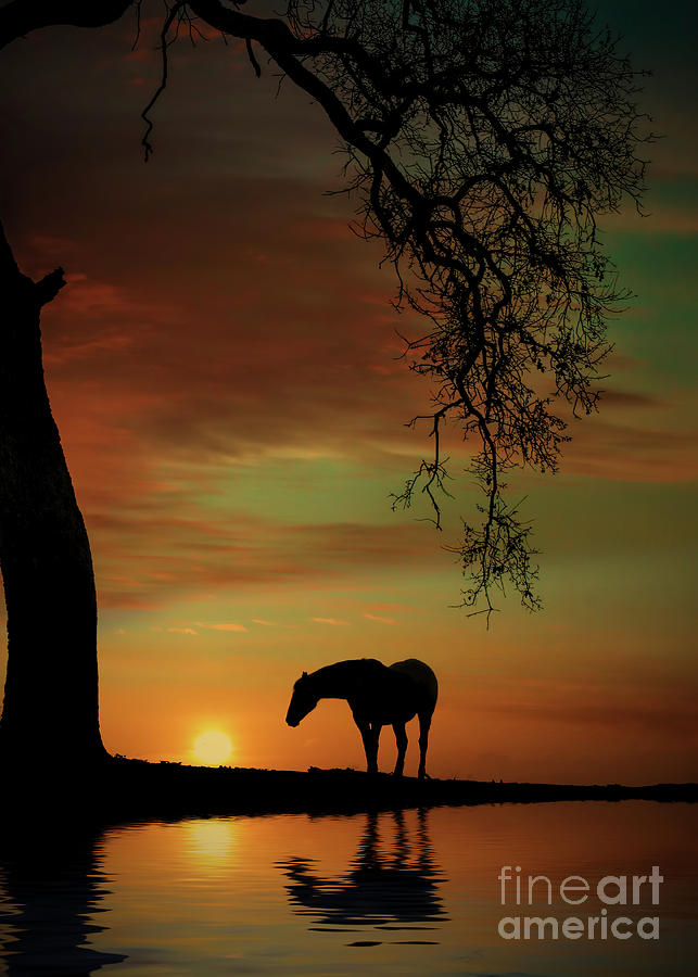 Horse and Oak Tree in Southwestern Sunset Photograph by Stephanie Laird