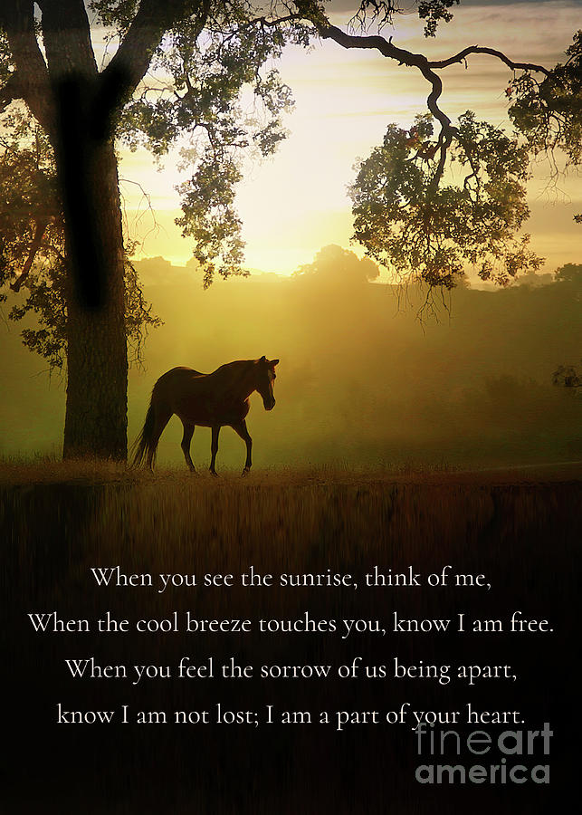 Horse and Oak Tree Remembrance Tribute Sympathy Poem Photograph by Stephanie Laird