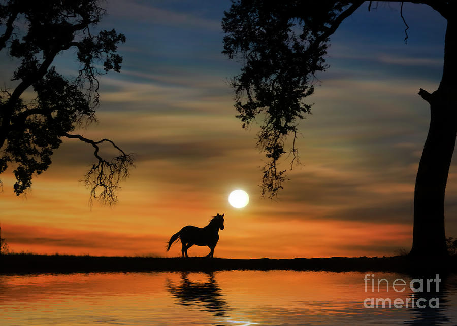 Horse and Southwestern Sunrise Photograph by Stephanie Laird