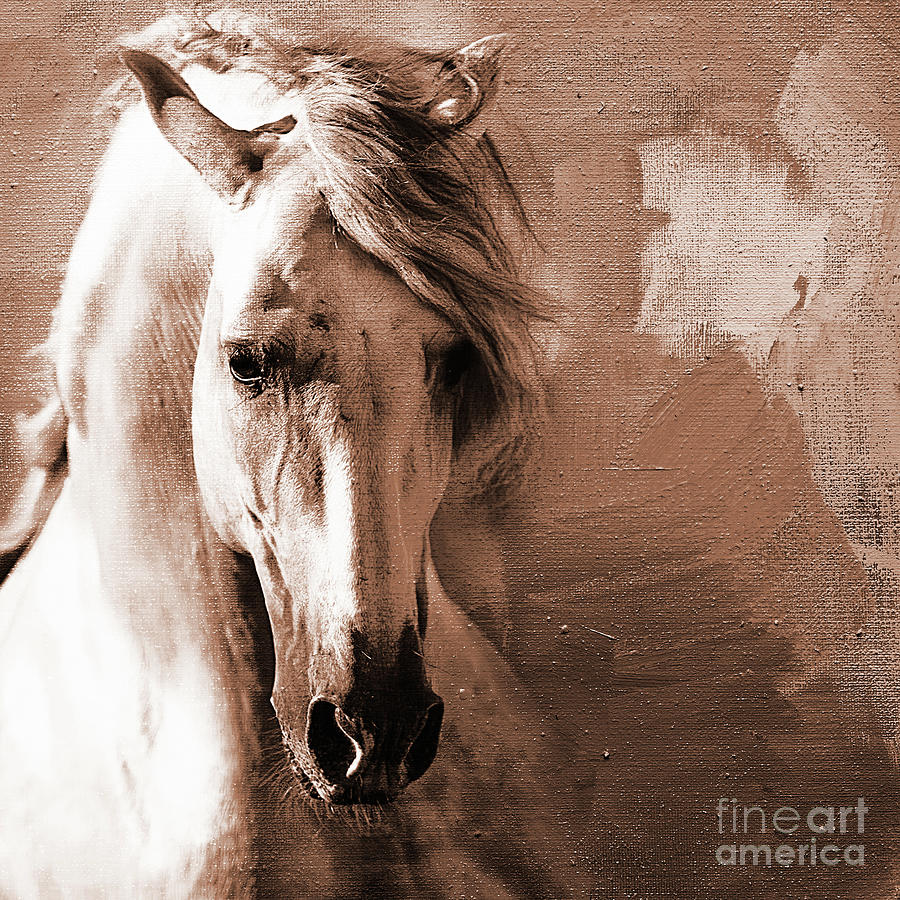 Horse Painting - Horse art 450i by Gull G
