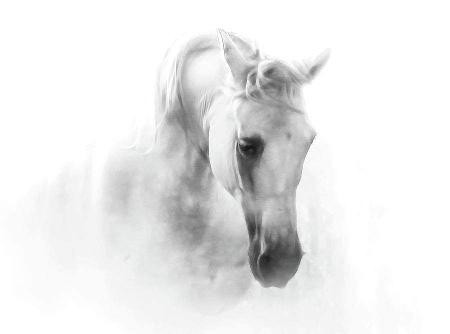 Horse Art III Photograph by Athena Mckinzie