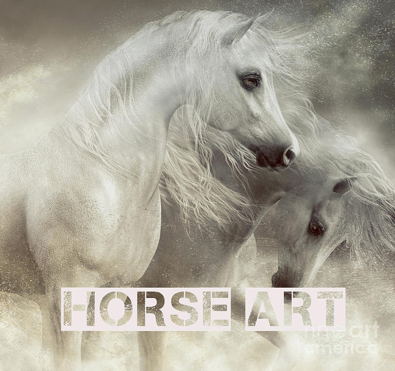 Horse Art  Digital Art by Shanina Conway