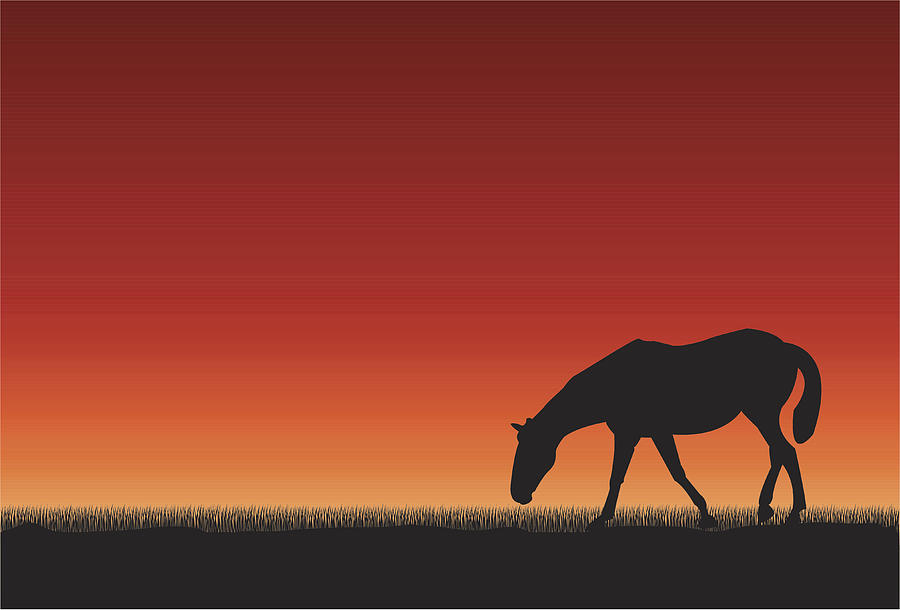 Horse at sunset Drawing by Bmchurch