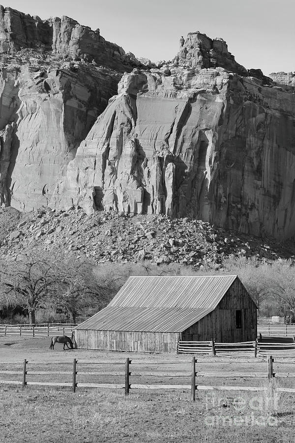 Horse Photograph - Horse Barn at Capitol Reef National Park  2722bw by Jack Schultz