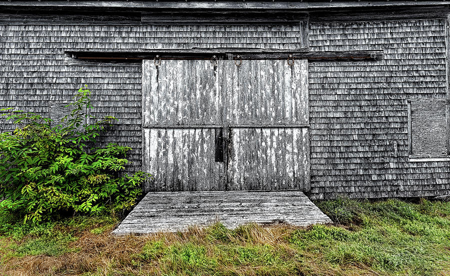 Horse Barn Door Photograph by Marty Saccone