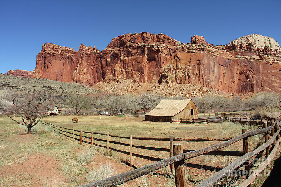 Horse Barn Fruita Utah 2925 Photograph by Jack Schultz - Pixels