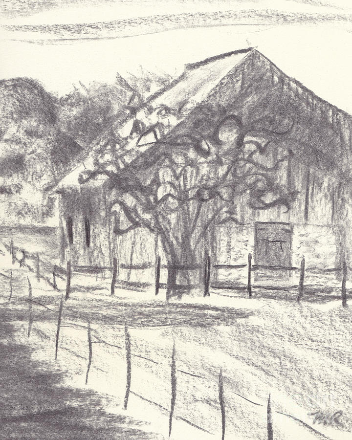 Stable on Whitehall Road Drawing by Mike Robinson