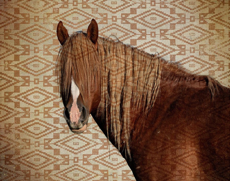 Horse Blanket Photograph by Mary Hone