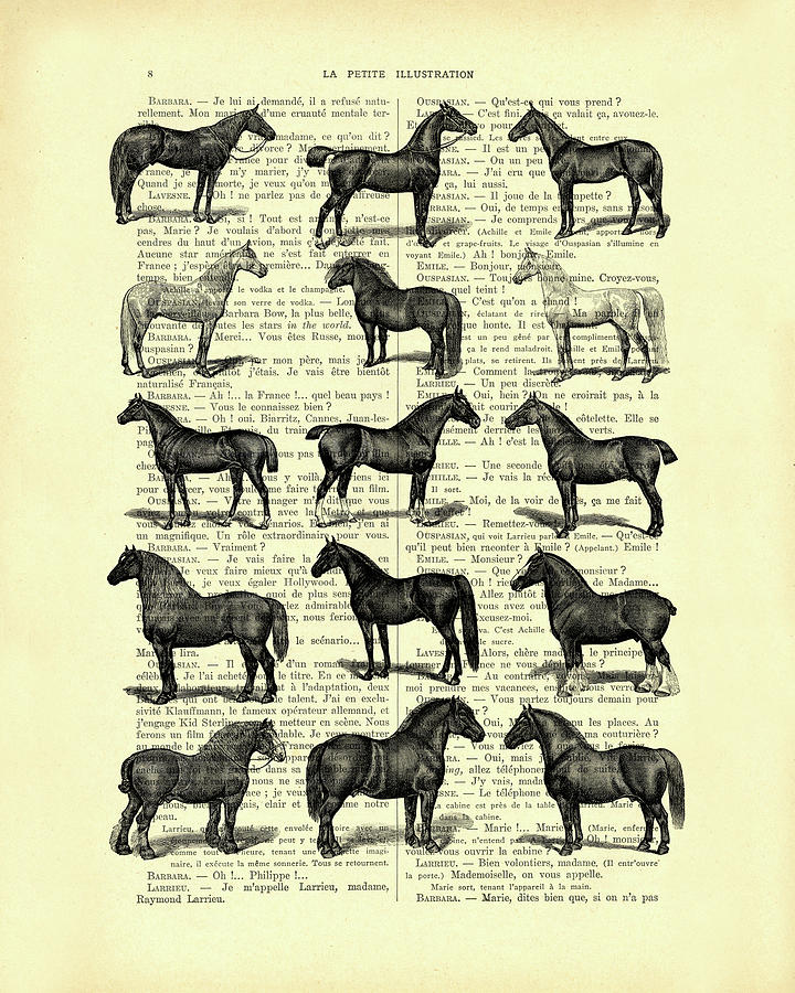 Horse Breeds Memento - Fine Art America