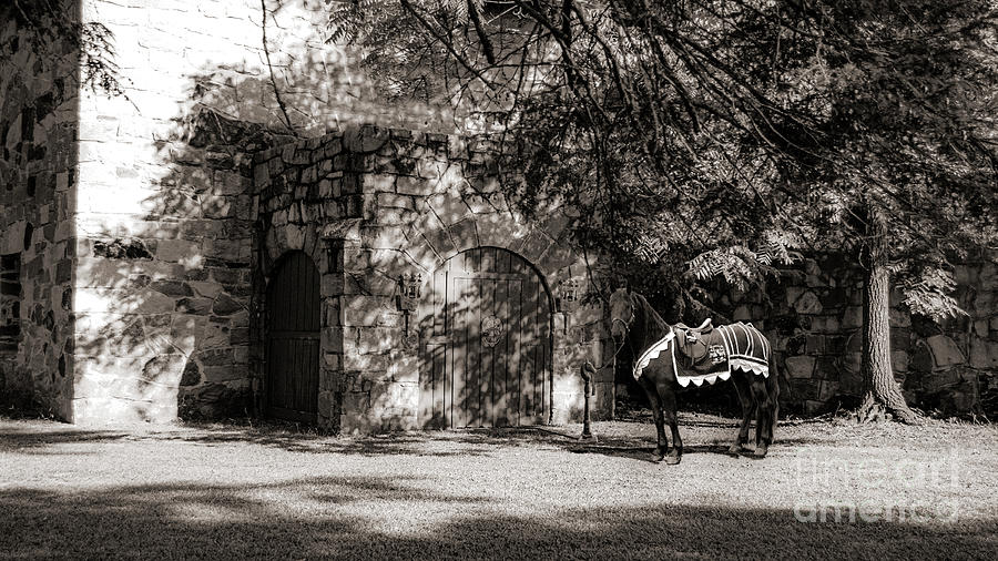 Horse By Castle Door - Black And White Digital Art by Anthony Ellis