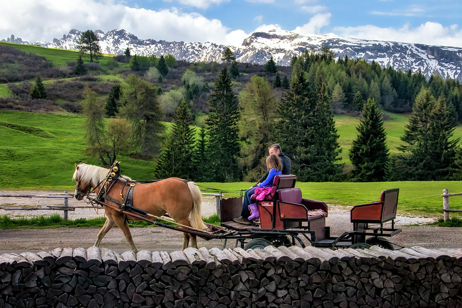 Horse Carriage in Alpe di Siusi Photograph by Carolyn Derstine