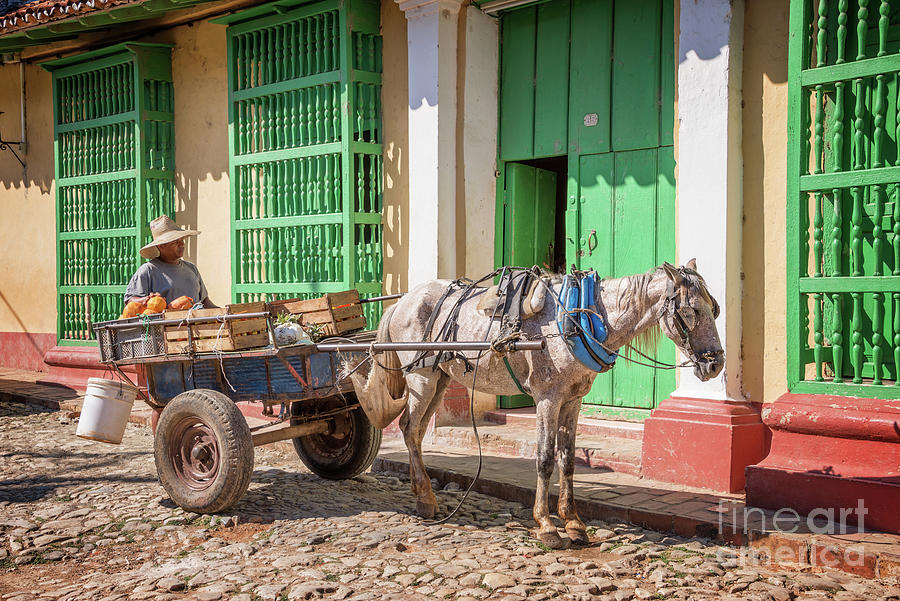 Horse carriage in Trinidad, Cuba Photograph by Delphimages Photo Creations