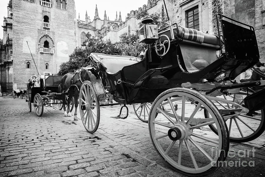 Horse carriage, Seville Photograph by Delphimages Photo Creations