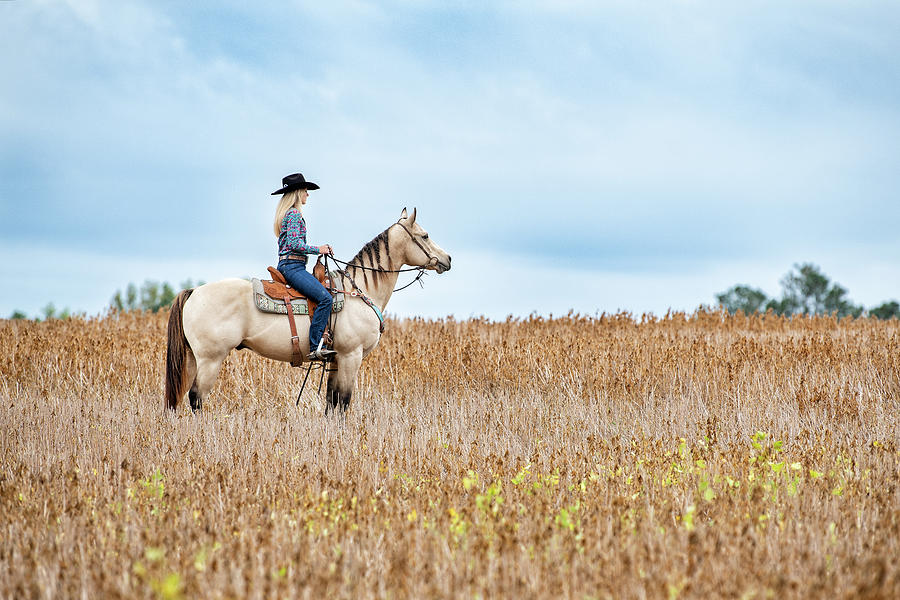 Horse Country Photograph by Fon Denton