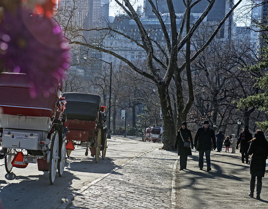 Horse-drawn  carriages leaving Central Park Photograph by Brytta