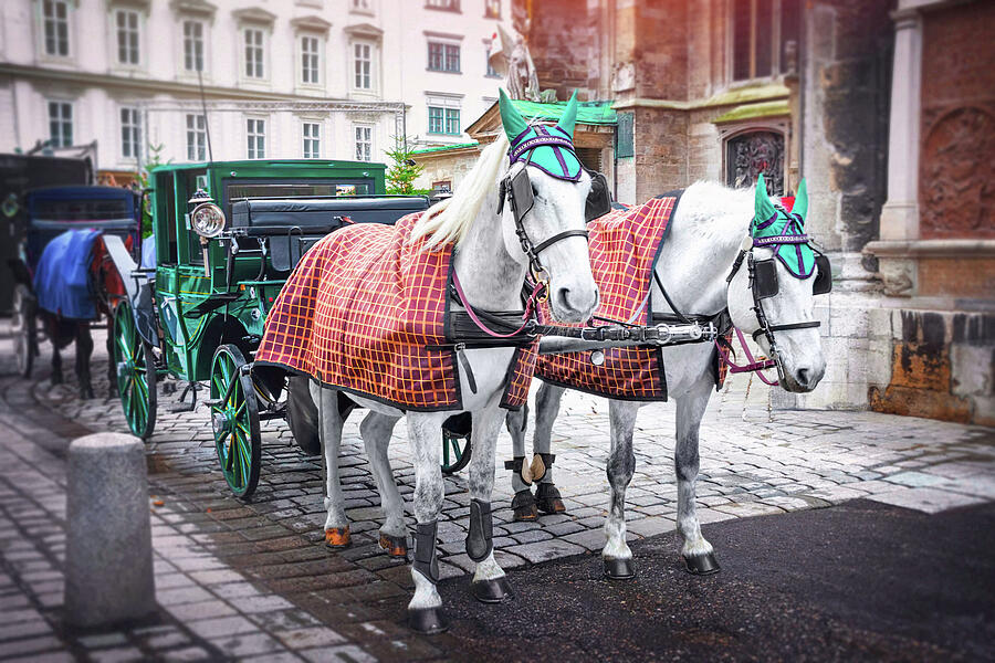 Horse Drawn Carriages of Stephansplatz Vienna Austria  Photograph by Carol Japp