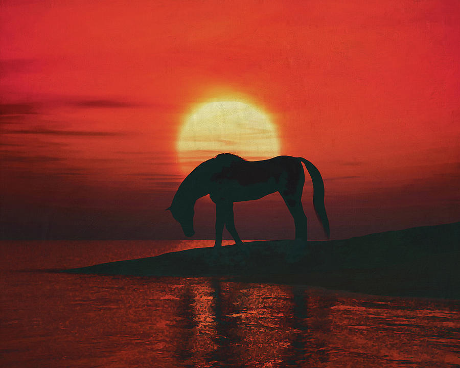 Horse Drinking At Sunset Painting