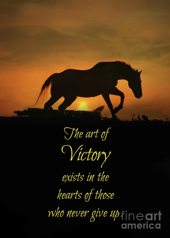 Horse Encouragement  Motivational  Photograph by Stephanie Laird