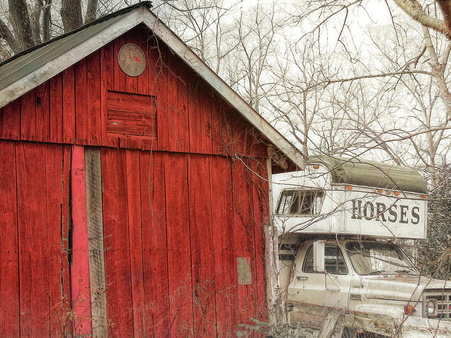 Horse Farm Photograph by Jamart Photography
