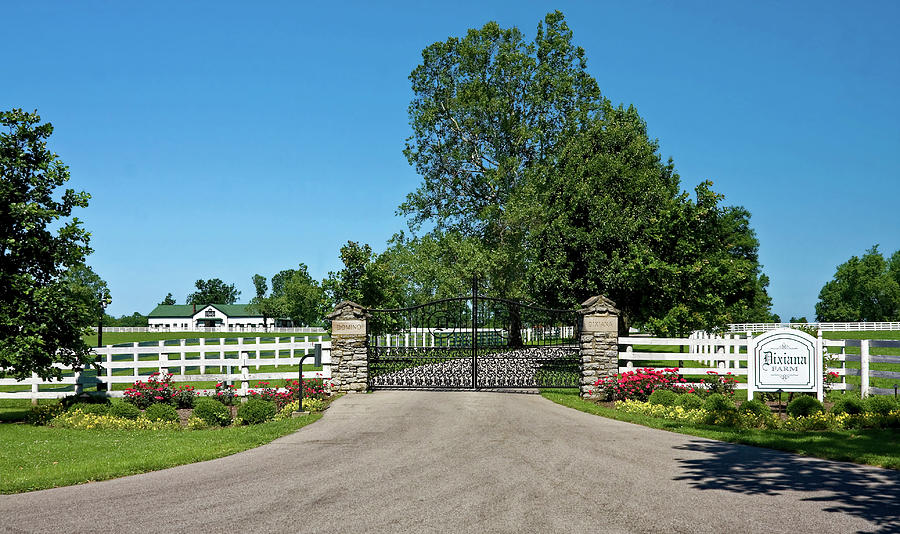 Horse Farms Entrance Photograph by Sally Weigand