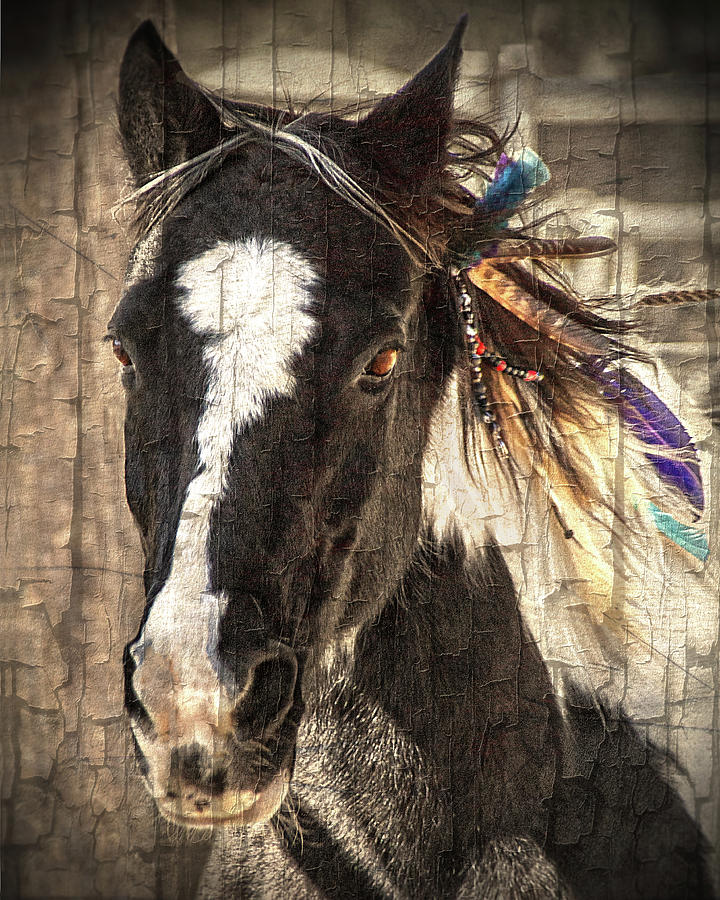 Horse Feathers Photograph by Jerry Cowart