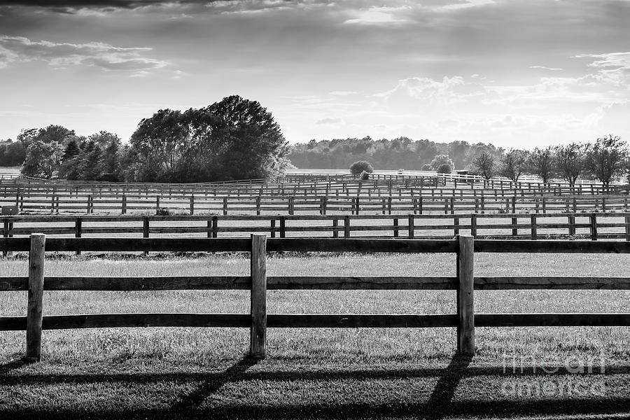Black And White Photograph - Horse Fence 2 Black and White by Robert Alsop