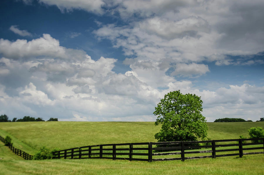 Horse Fence and Field Photograph by Kelly VanDellen