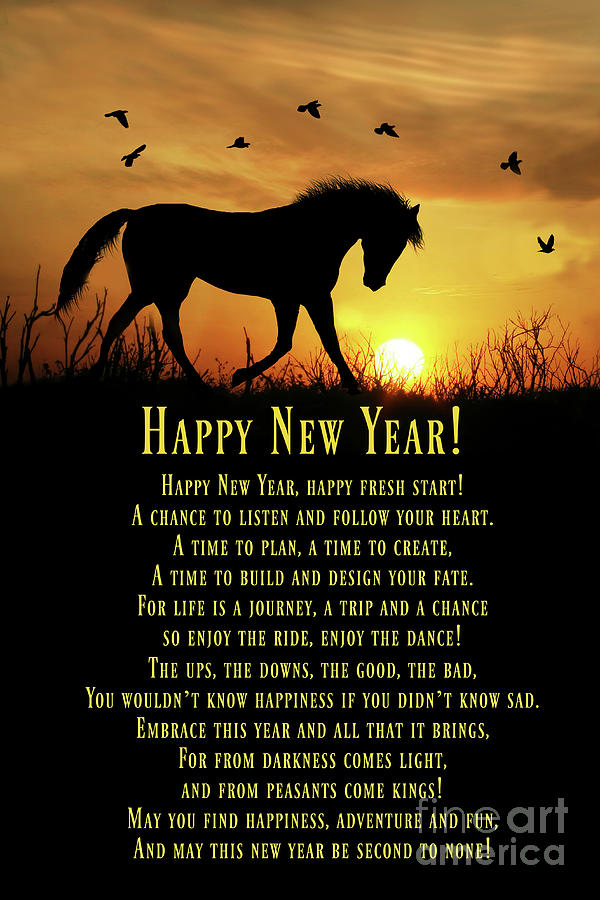 Horse Happy New Year Poem Photograph by Stephanie Laird