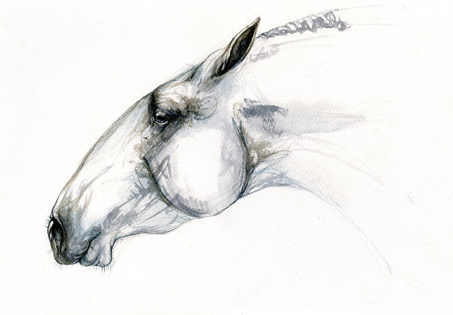 Horse Painting - Horse head 2019 12 19 by Ang El