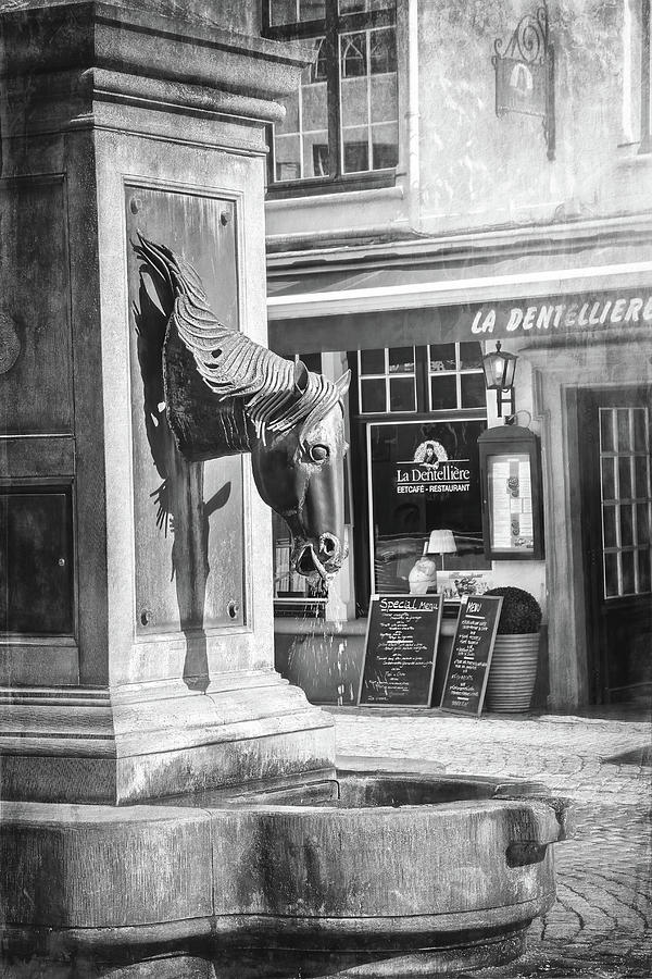 Horse Head Drinking Fountain Bruges Historic Old Town Black and White Photograph by Carol Japp