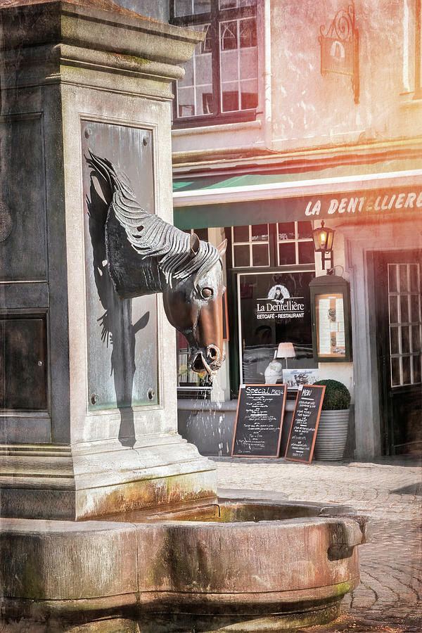 Horse Head Drinking Fountain Bruges Historic Old Town  Photograph by Carol Japp