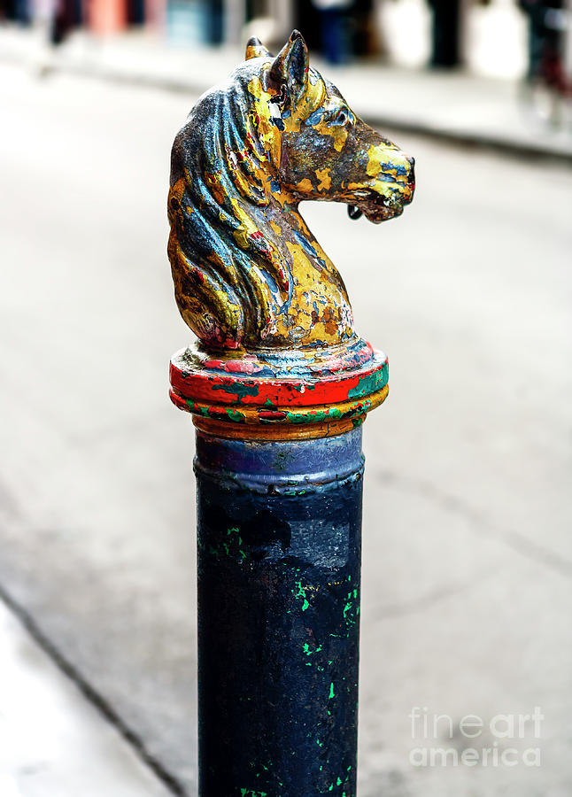 Horse Head Hitching Post in New Orleans Photograph by John Rizzuto