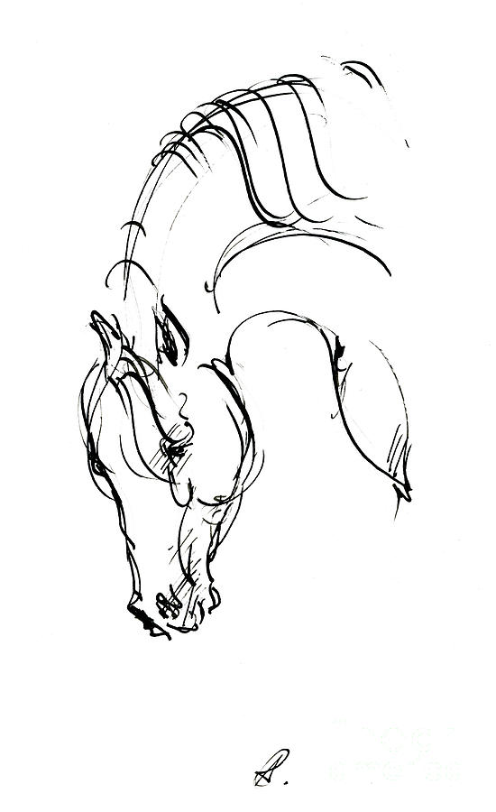 Horse head ink sketch 2019 12 01 by Angel Ciesniarska Horse head ink sketch 2019 12 01 by Angel Ciesniarska