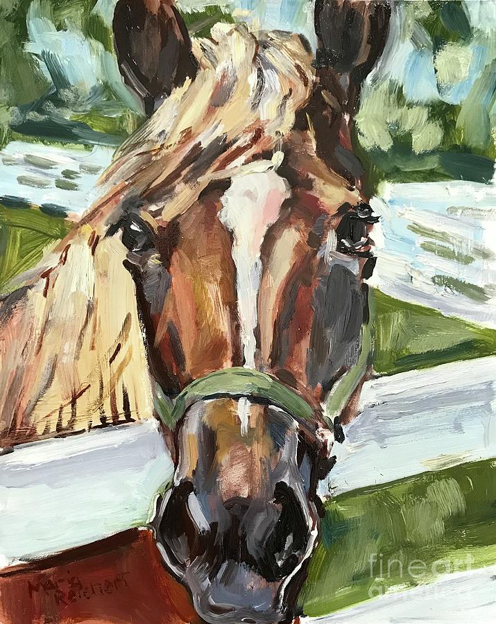Horse Painting - Horse Head  by Maria Reichert