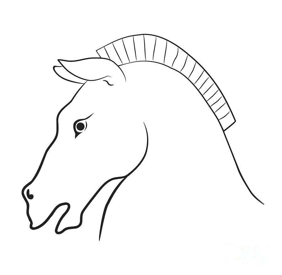 Horse head Drawing by Michal Boubin