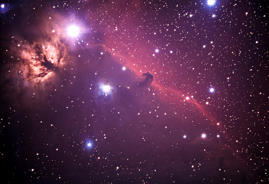 Horse Head Nebula Photograph by David Erath - Fine Art America